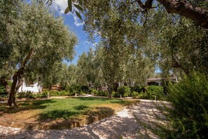 Garden - Holiday Apartment "orchidea" With Swimming Pool and Private Beach (Mattinata)