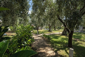A paved pathway surrounded by lush greenery and trees, leading to a grassy area with white benches.