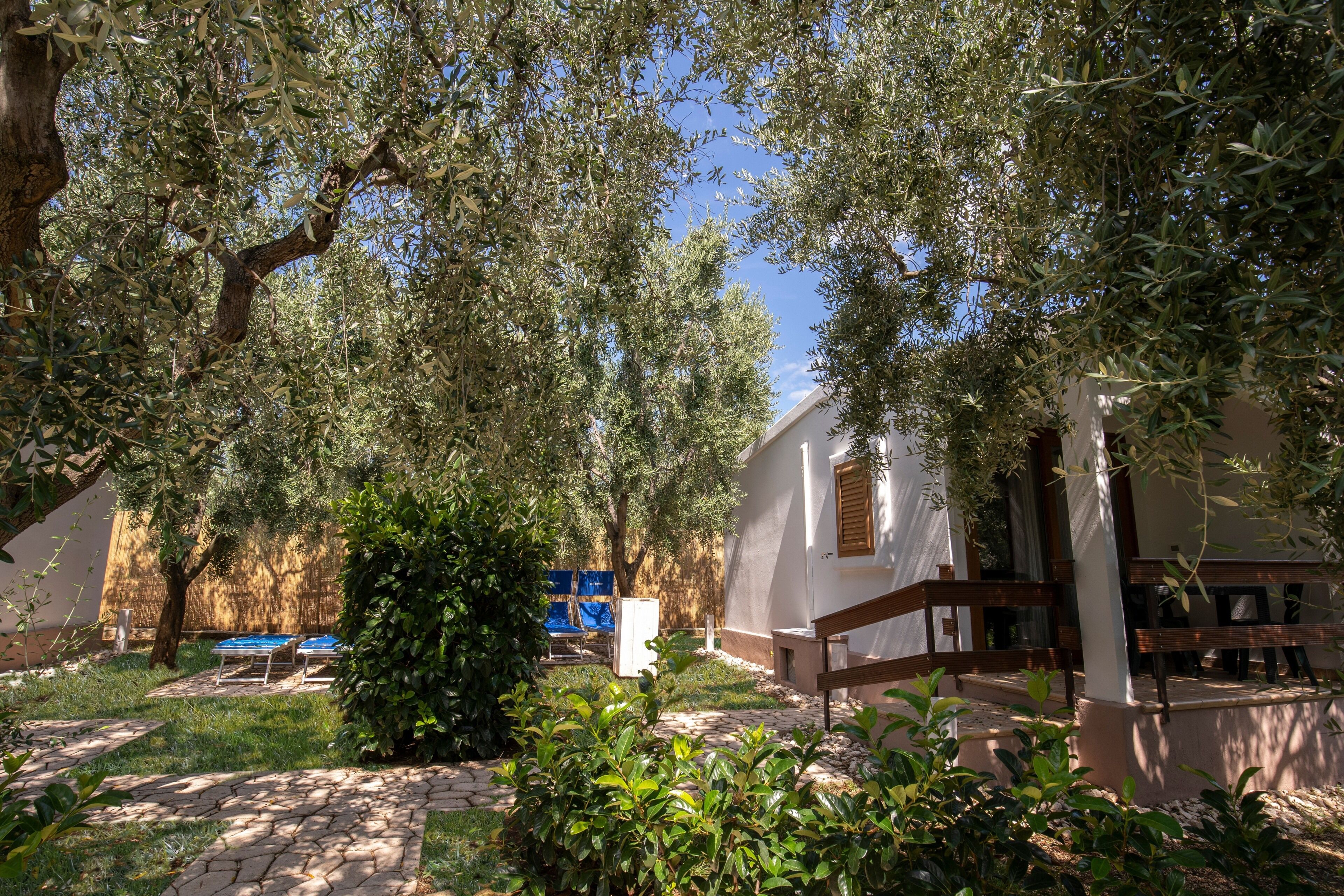 A courtyard with a pergola, a white building, and a bench.