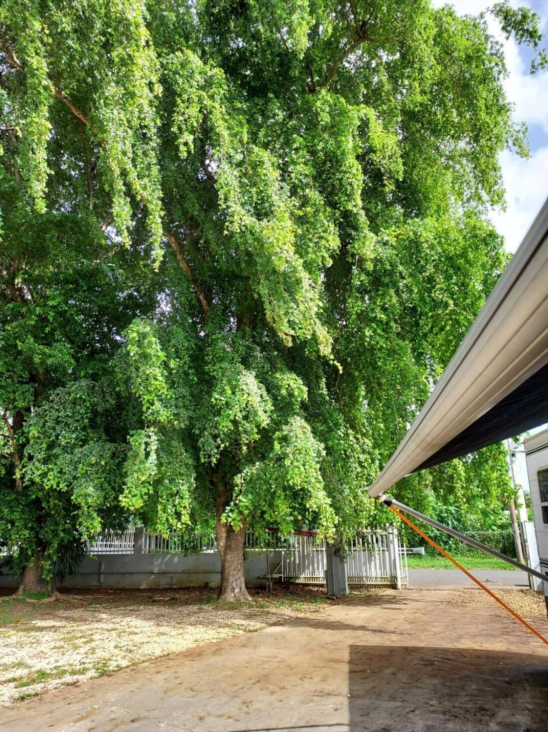Nhà di động, 2 phòng ngủ, sân hiên | Khuôn viên nơi lưu trú