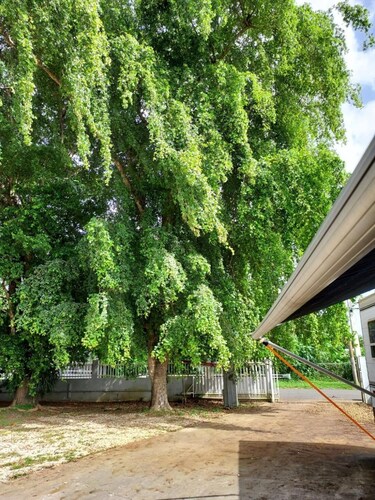 Confort y Relajacion