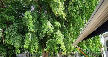 Confort y Relajacion