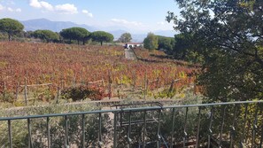 Balcony - Casale Rendine Villa (Boscotrecase)