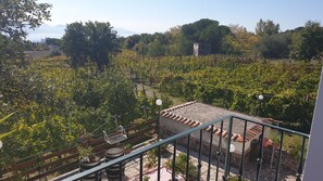 Balcony - Casale Rendine Villa (Boscotrecase)