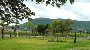 Room, 1 Bedroom, Smoking, Patio | Miscellaneous - Room-lodging And Tranquility (Tlaquiltenango)
