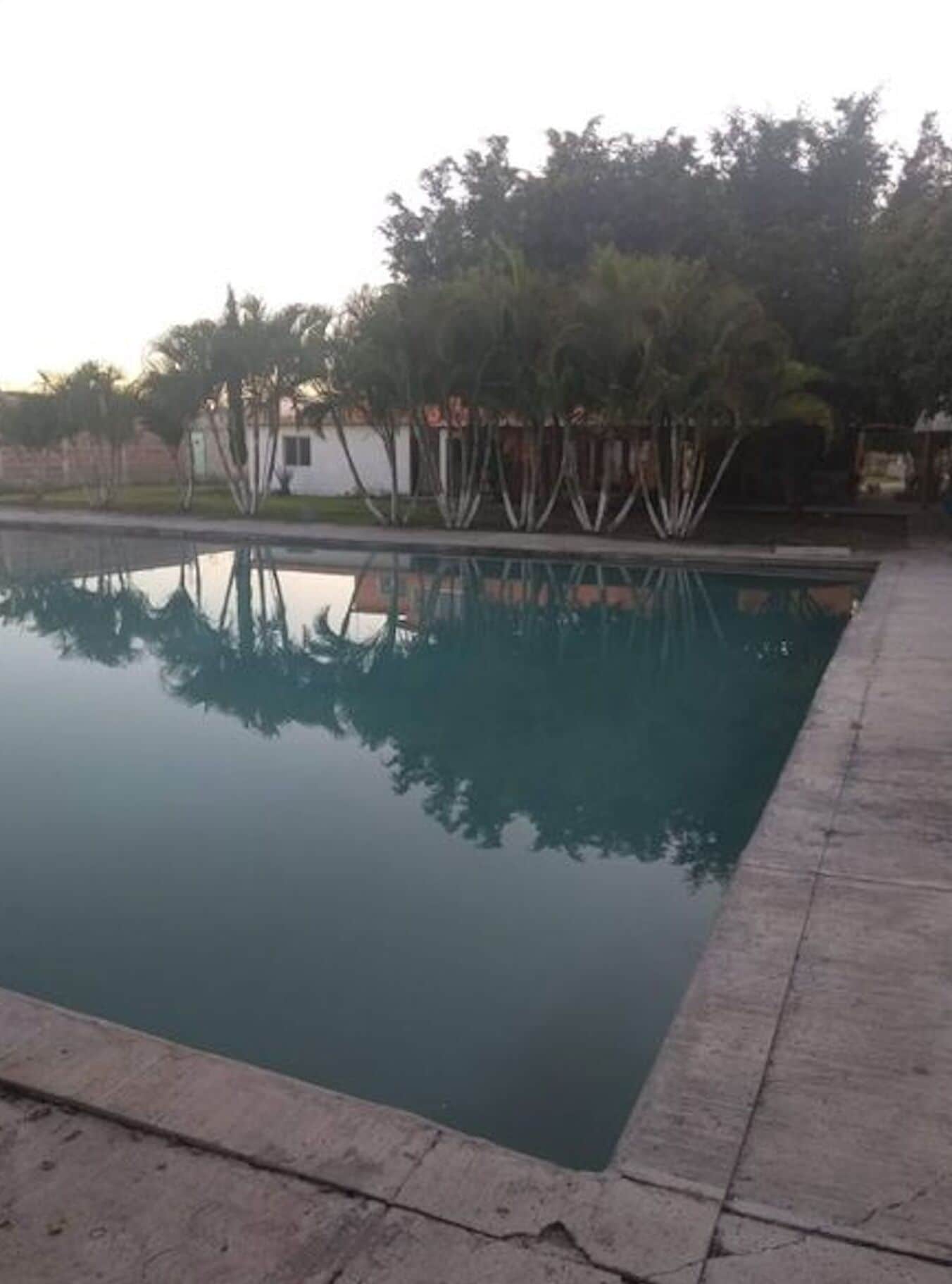 Una piscina rectangular que refleja claramente árboles y un edificio blanco al fondo.