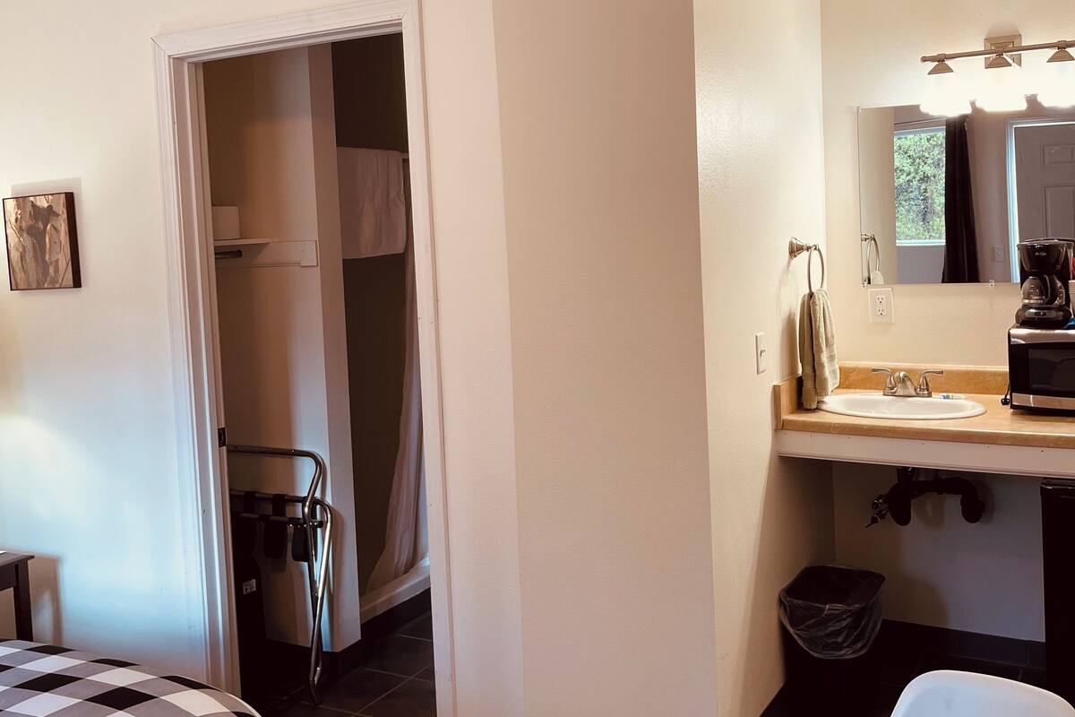 A hotel room with a bed, a desk with a sink, a mirror, and a door leading to a closet.