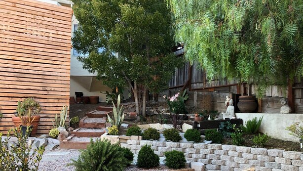 A landscaped garden with various plants, a wooden fence, and stone walls.