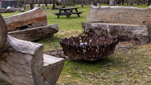A rustic outdoor setting with a picnic table, large logs, and a metal fire pit. - GROUP CAMP ON MURRAY RIVER NEAR ECHUCA / MOAMA (Torrumbarry)