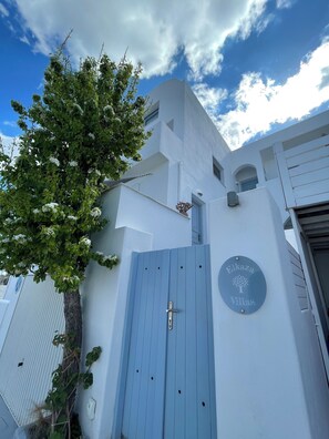 Detalle exterior