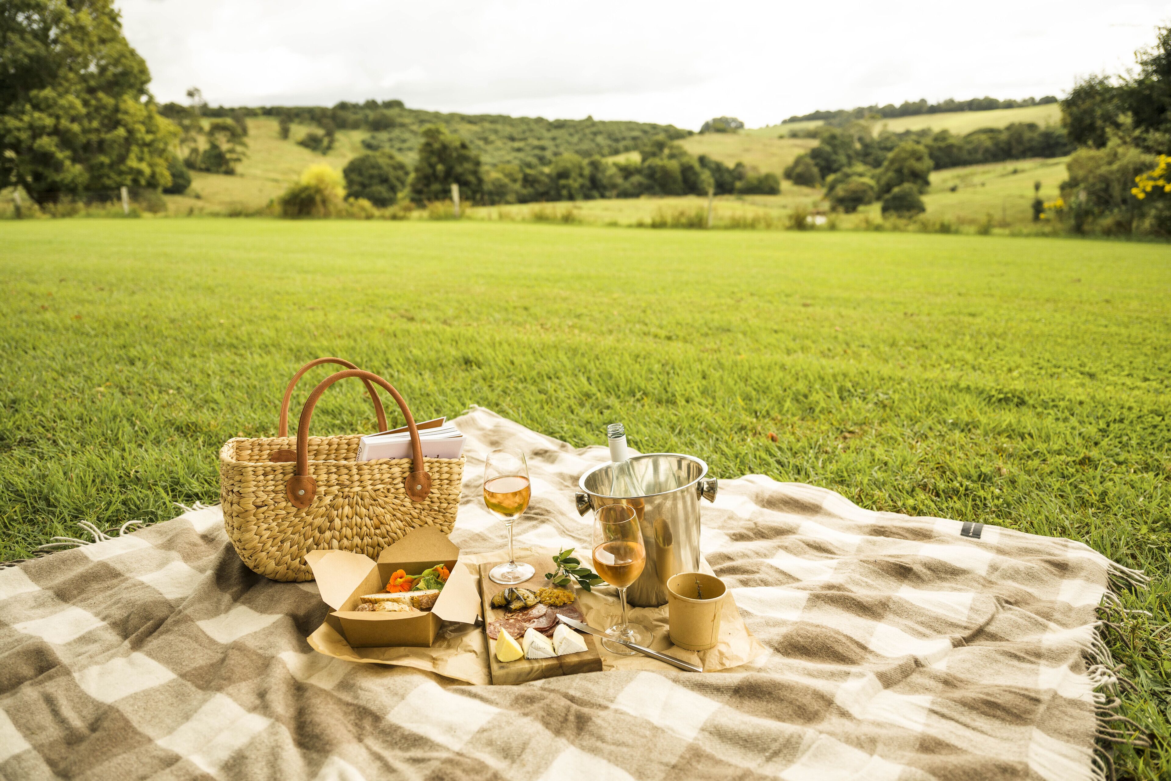 Ein Picknick auf einer karierten Decke in einer grünen Wiese, mit einem Korb, einem Thermosbehälter, einem Weinglas und einer Käseplatte.