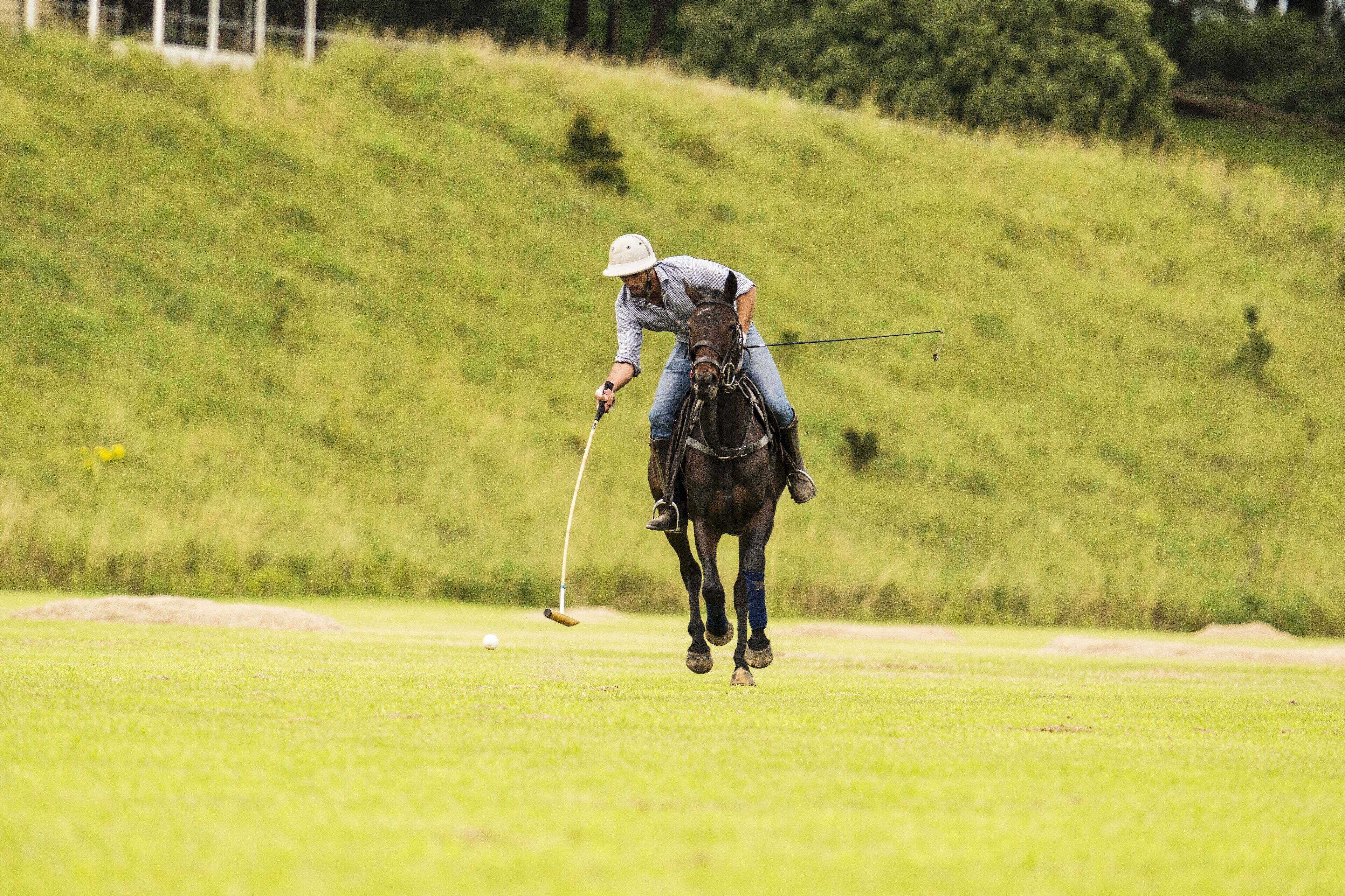 Une personne jouant au croquet sur un terrain herbeux, avec un cheval à proximité.