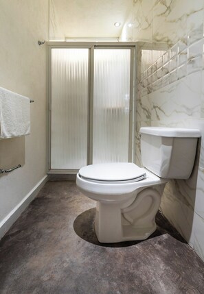 シャワー、タオル、石鹸、シャンプー