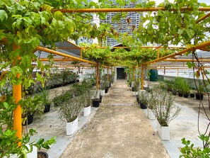 Terrace/patio - Niagara Hotel (Bangkok)