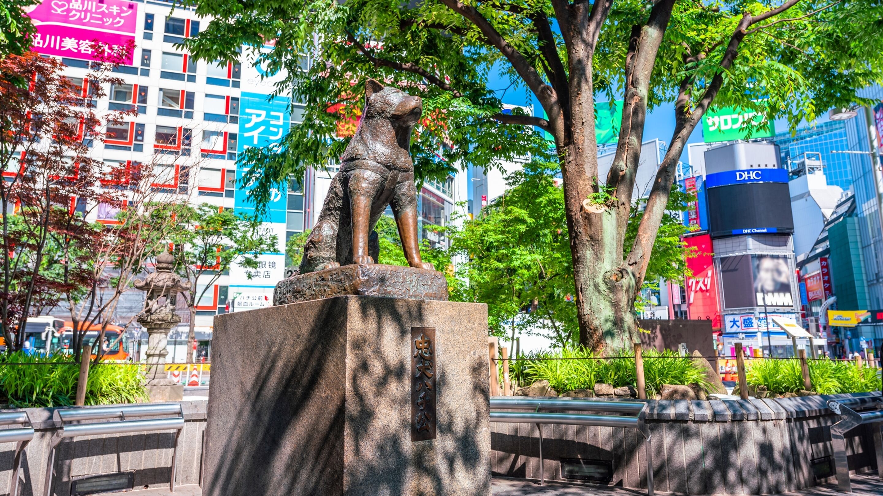 Una estàtua sobre un pedestal en un entorn urbà, amb edificis i arbres al fons.
