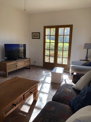 Smart TV, fireplace, DVD player, books