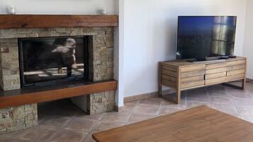 TV connectée, cheminée, lecteur de DVD, livres