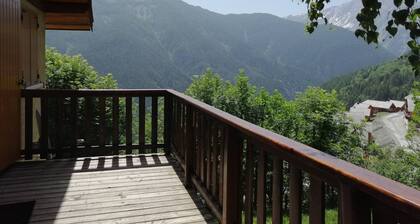 Spacious chalet 4/5 rooms, terrace, garden, 8/10 pax, Pra Loup