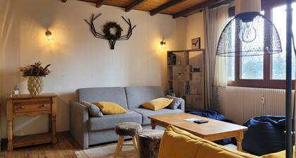 Bel appartement rénové style chalet, 6 pers, proche des pistes