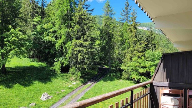 Un balcon doté d’une balustrade en bois, donnant sur un espace verdoyant avec des arbres et un sentier.