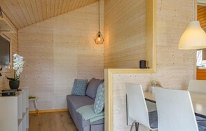 TV, fireplace, DVD player