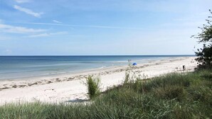 Una spiaggia con una tenda e vegetazione rada.