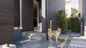 A dog standing on a stone pathway in front of a building with a modern design.