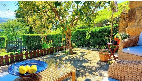 Terraza o patio
