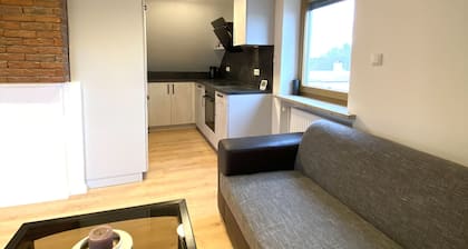 Schöne Dachgeschosswohnung mit Loftcharakter