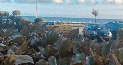 TrĂšs bon emplacement appartement front de mer