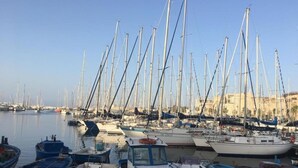 Ein Yachthafen mit zahlreichen Segelbooten, ein klarer Himmel und Gebäude im Hintergrund.