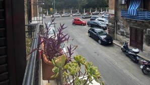 Ein Balkon mit Blumentöpfen, Blick auf eine Straße mit geparkten Autos und ein Gebäude mit einer blauen Markise.