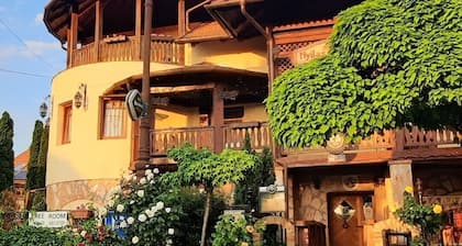 Castle Wellness Resort Sóstó