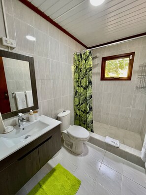 Bathtub, hair dryer, towels, soap