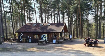 The Shambles on the Chase