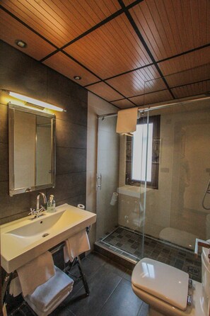 Douche, sèche-cheveux, serviettes fournies, papier toilette