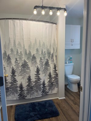 Combined shower/tub, hair dryer, towels, toilet paper