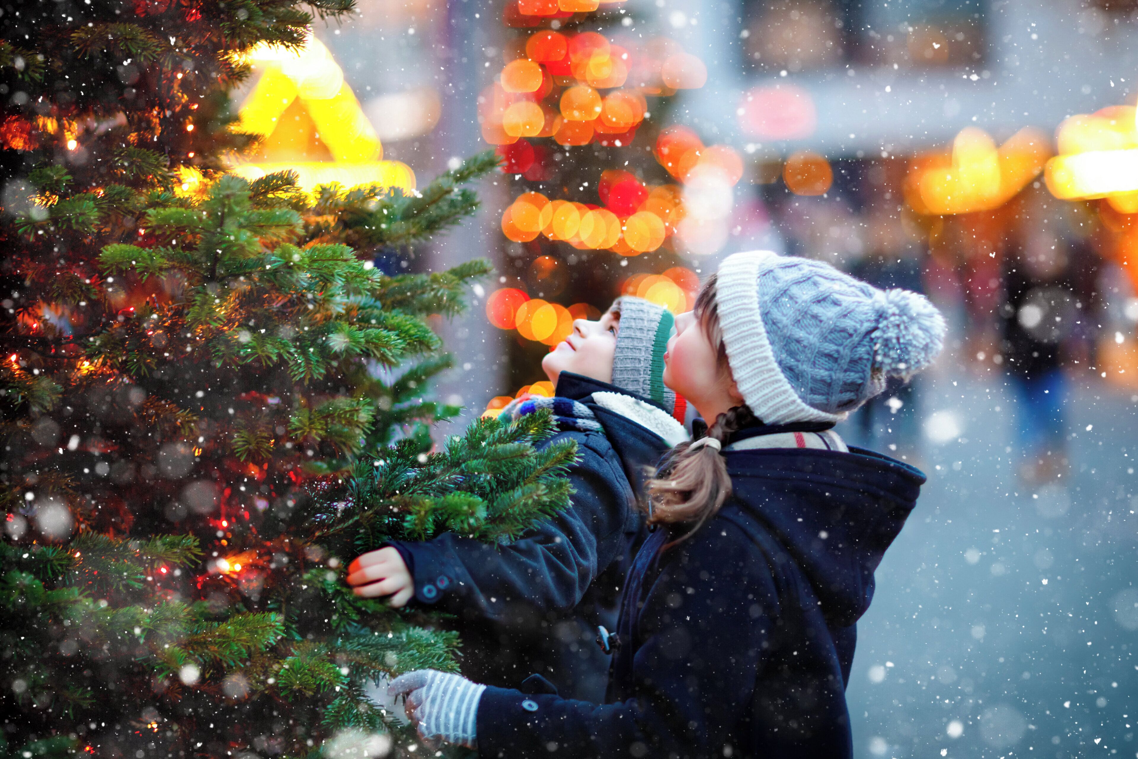 A person holding a Christmas tree.