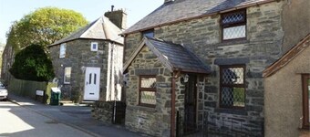 Gwynfryn Summary:<br>Thi