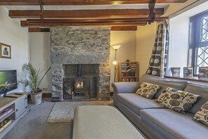 Televisión, chimenea, reproductor de DVD y oficina 