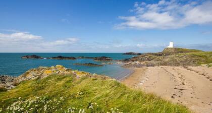 Gwynfryn Summary:<br>Thi