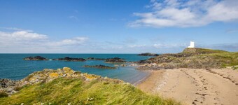 Gwynfryn Summary:<br>Thi