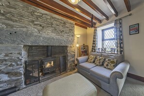 Televisión, chimenea, reproductor de DVD y oficina 