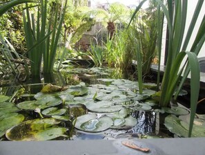 Parco della struttura