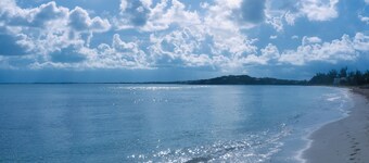 Wake up to Pelicans cruising the beach!