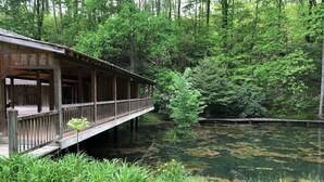 Une cabane en bois dotée d’une terrasse qui surplombe un étang, le tout étant entouré d’une forêt dense.