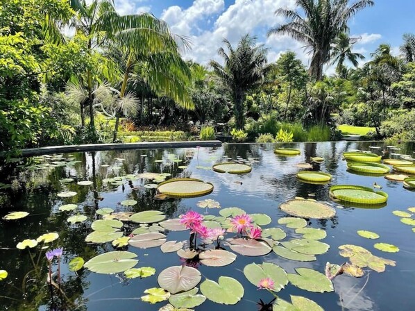 Property grounds - 777 Glam Getaway | New Pool, Near Beach & Mercato (Naples)