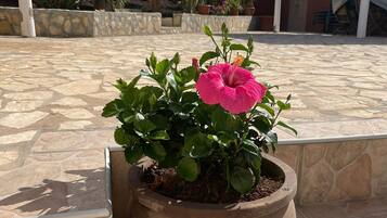 Enceinte de lâhĂ©bergement