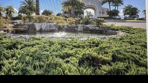 A landscaped garden with a fountain, palm trees, and a building with an arched entrance.