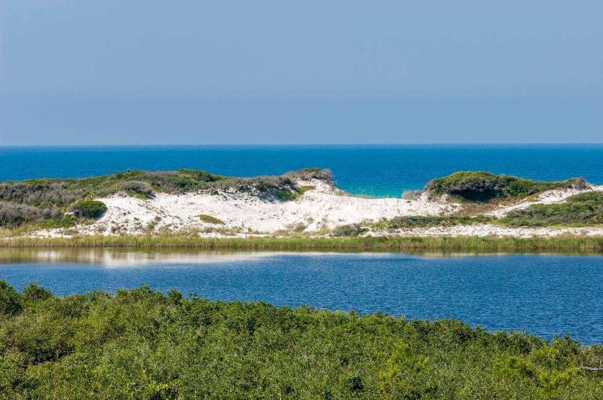 Un paisaje costero con una vista despejada del mar, dunas arenosas y abundante vegetación al frente.